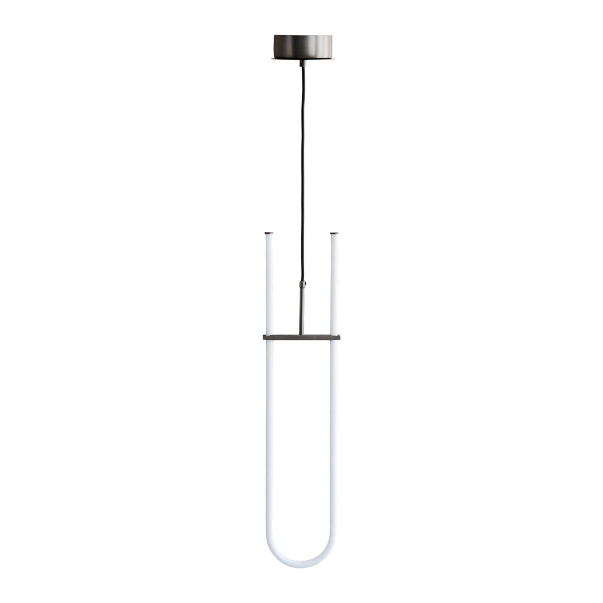 Curved Pendant Lamp