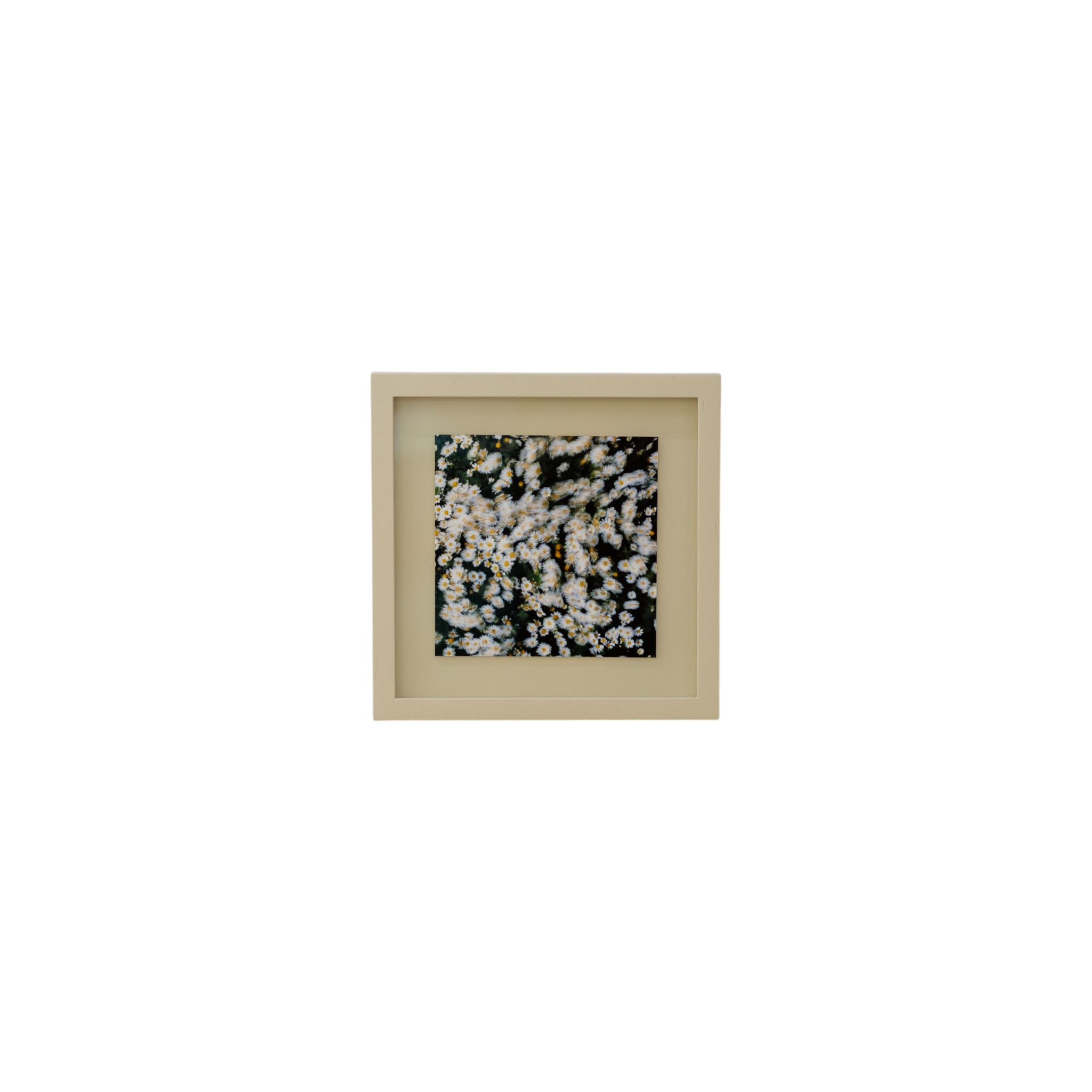 Mabel - Pigment Print
