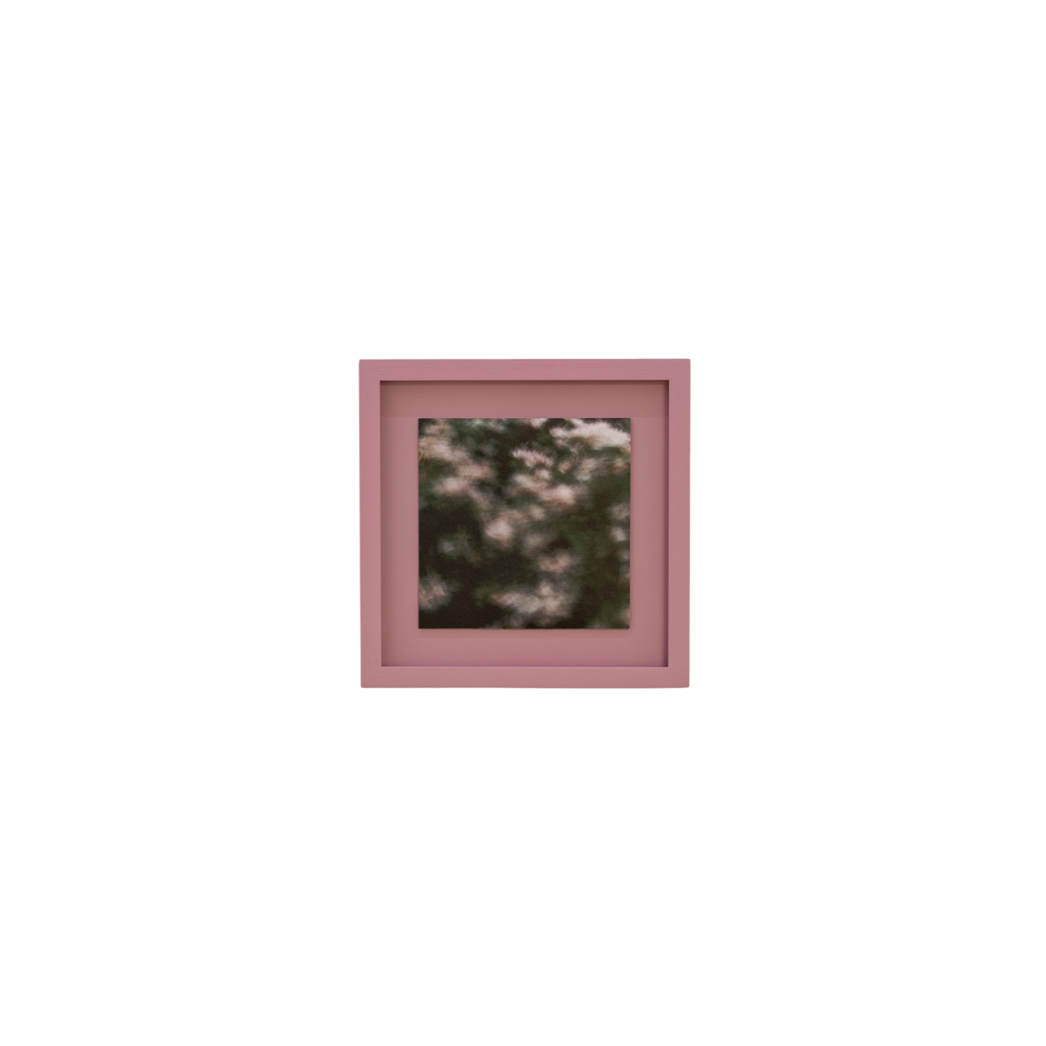 Vera - Pigment Print