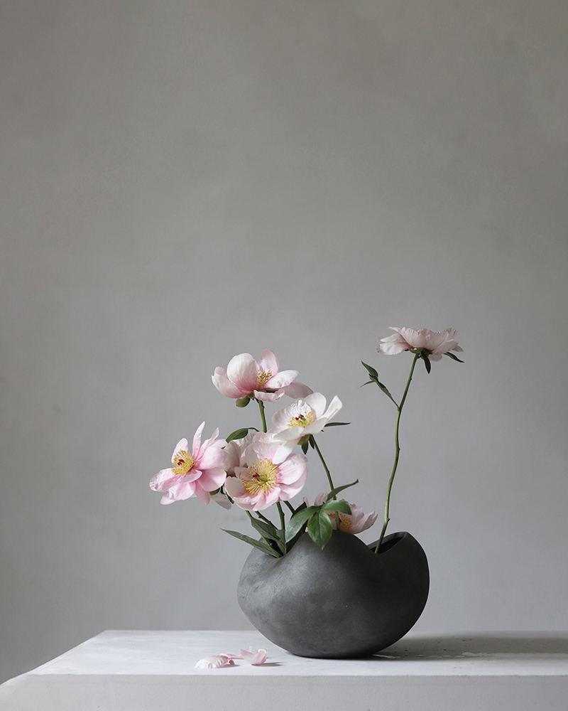 Curve Bowl
